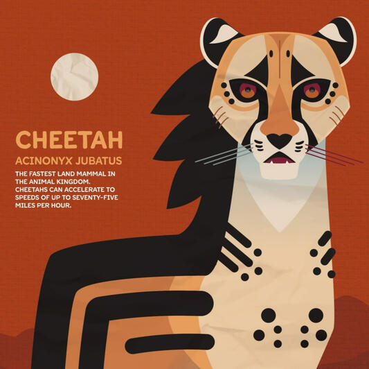 Vector - Cheetah Poster